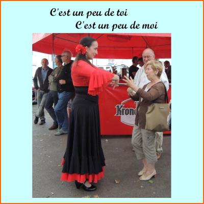 10 a la decouverte du flamenco pour tous laurence marion diaz