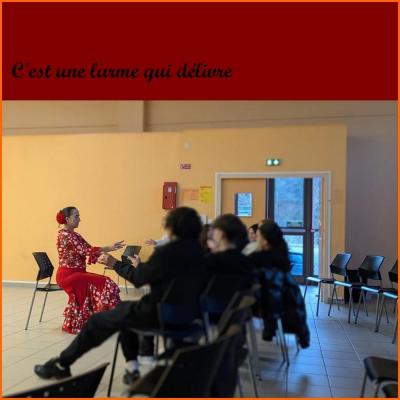 4 atelier flamenco lycee valentigney laurence marion diaz