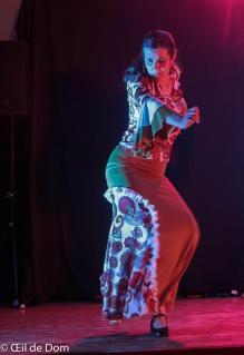 A mathieu fuster l etincelle duende flamenco