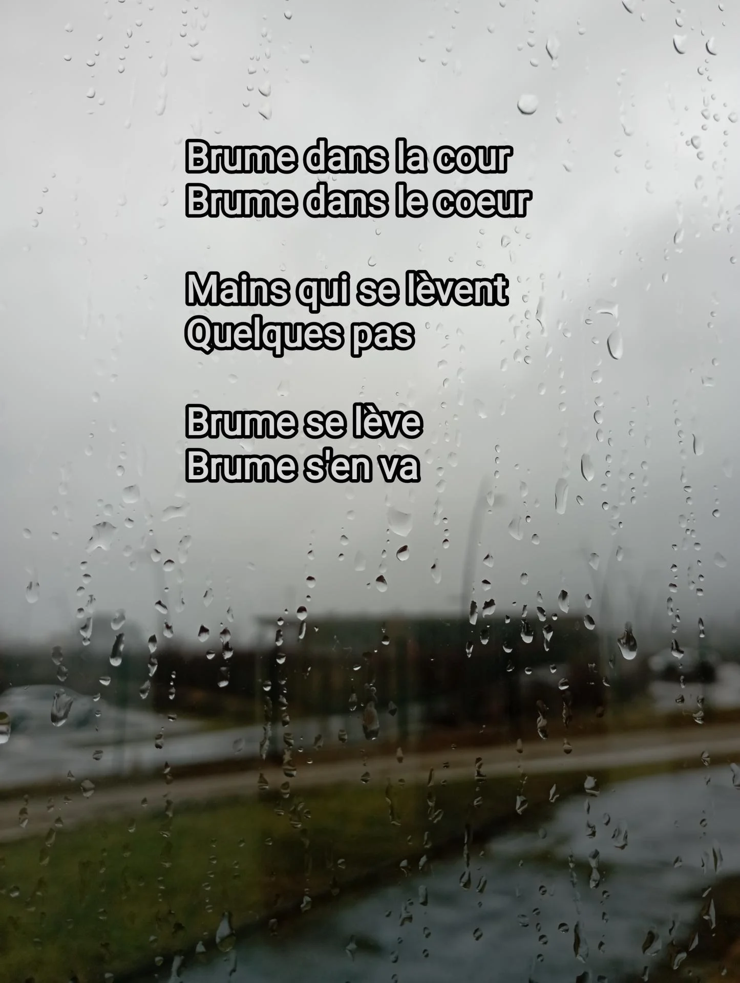 Brume dans la cour