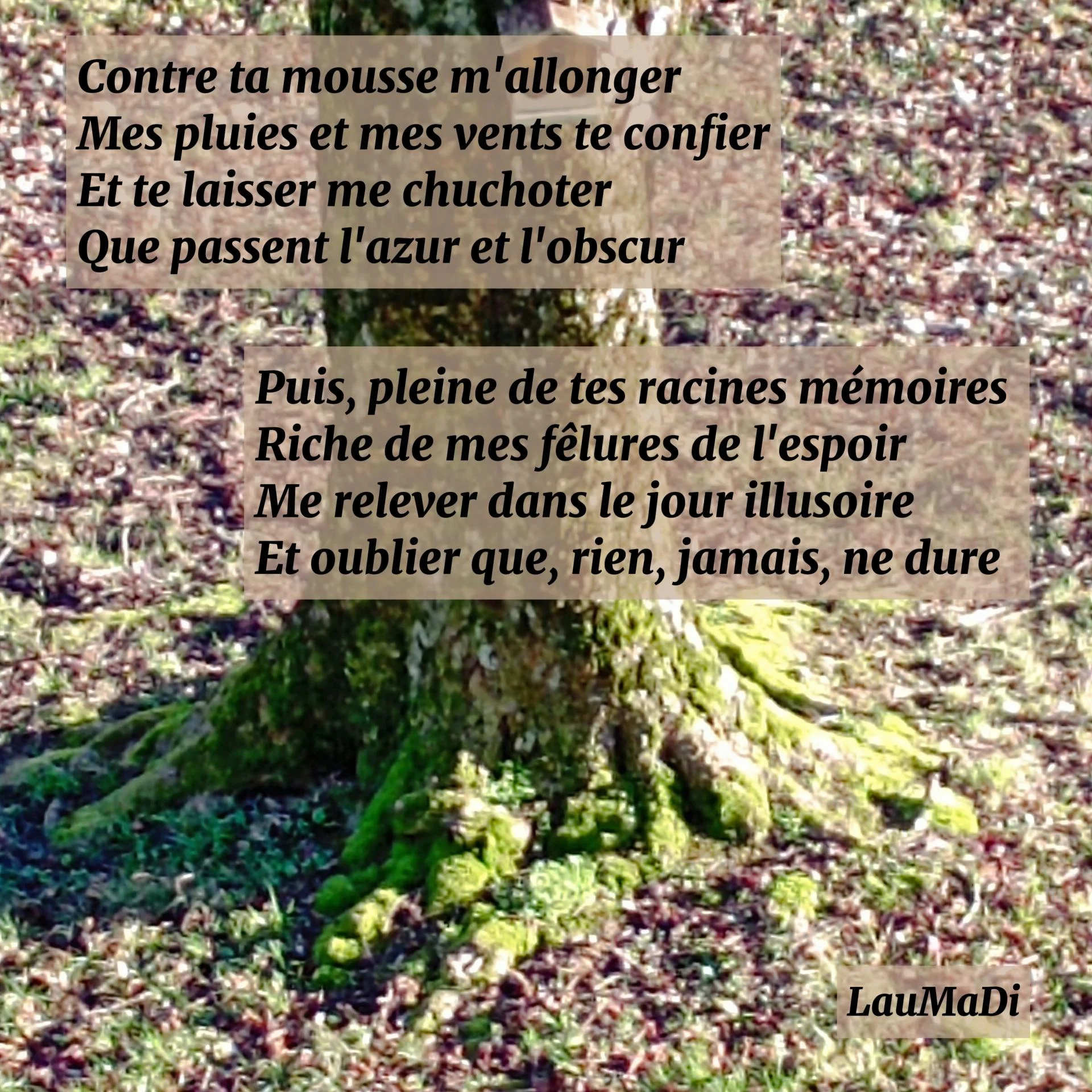 Contre ta mousse m allonger