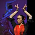 Laurence marion diaz flamenco