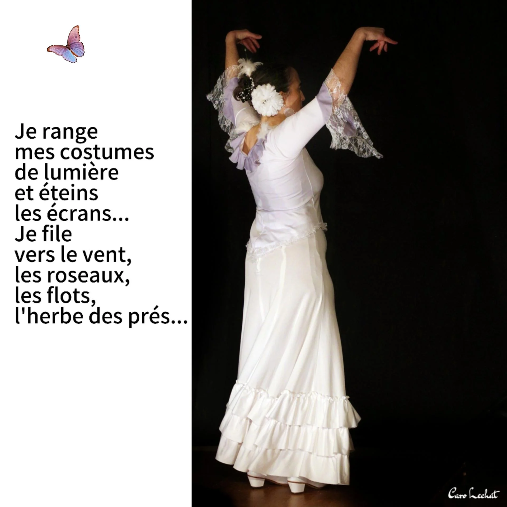 Je file vers le vent